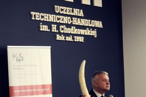 Funkcjonariusz celny prezentujący skonfiskowane trofeum, np. kieł słonia.JPG